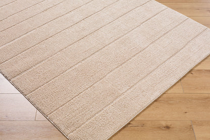 Parker Rug in Beige Stripe