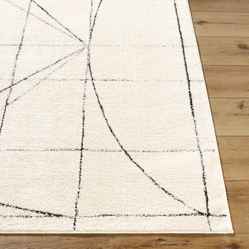 Architect Rug in Geometric