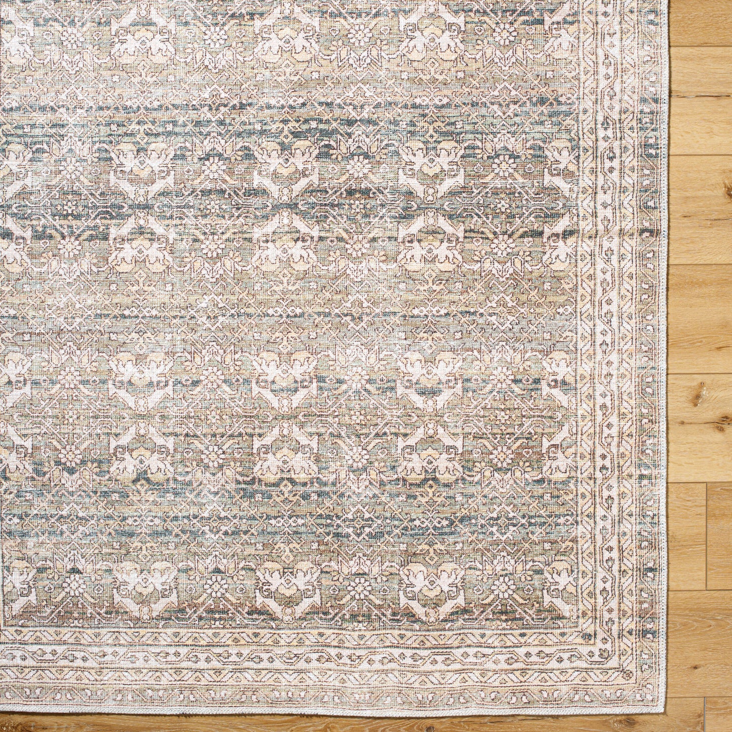Lana Rug in 2404