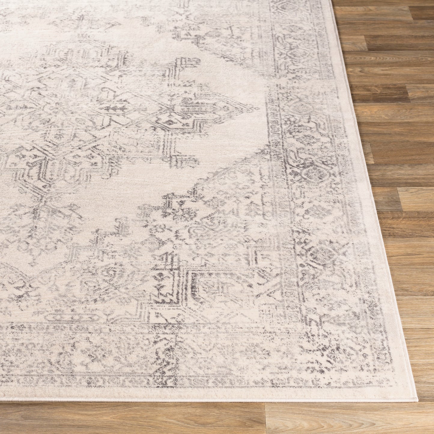 Bloomfield Rug in Medallion/Ivory