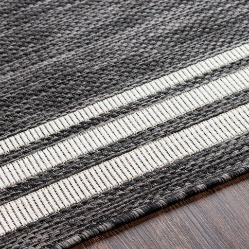 eag2365-texture
