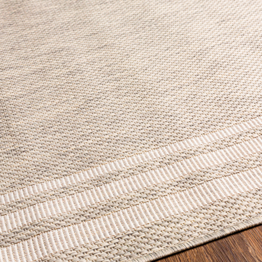 eag2366-texture