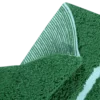 C-MONSTERA_5_2_1296x