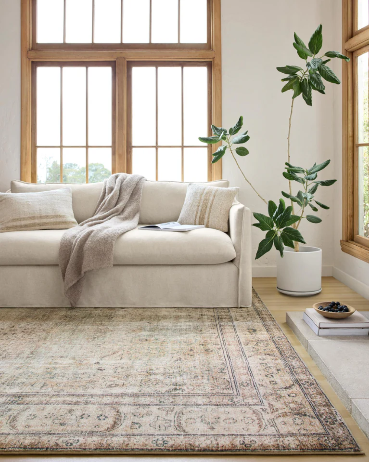 01 Fable Antique _ Sage (7)