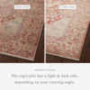 Sonnet Rug in Spice _ Multi (2)